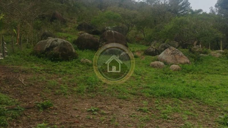 Praia Jurerê - Sambaqui - Florianópolis - 1121