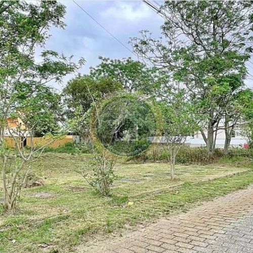 Praia Jurerê - Jurerê Internacional - Florianópolis - 2194
