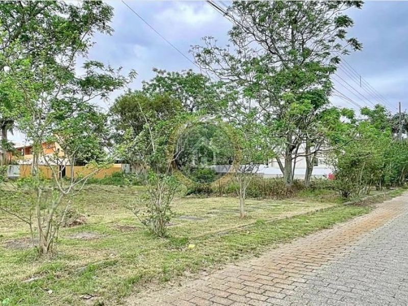 Praia Jurerê - Jurerê Internacional - Florianópolis - 2194